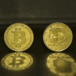 Bitcoin Surges Again: What Experts Predict for Cryptocurrency in 2024
