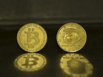 Bitcoin Surges Again: What Experts Predict for Cryptocurrency in 2024