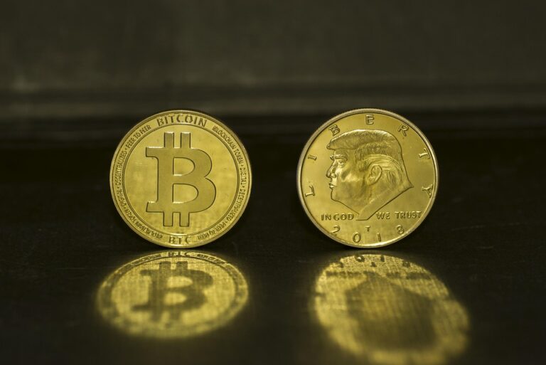 Bitcoin Surges Again: What Experts Predict for Cryptocurrency in 2024